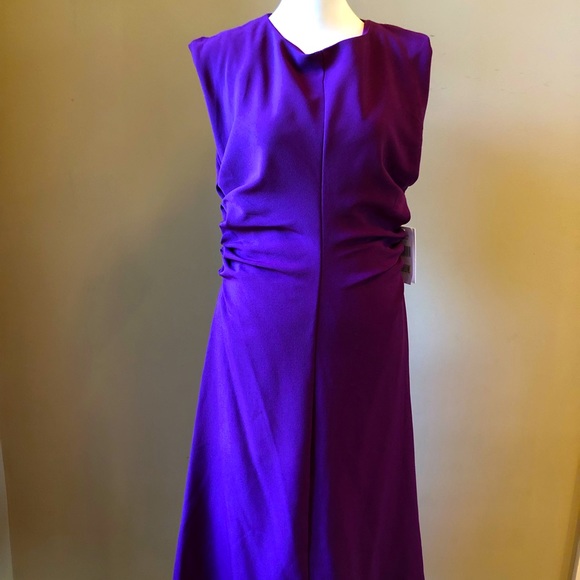 Dresses & Skirts - NWT! Regal plum dress!